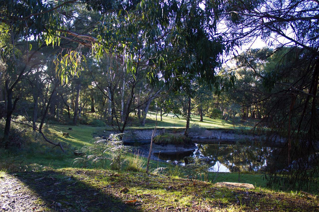 Marwood Villas Halls Gap Esterno foto